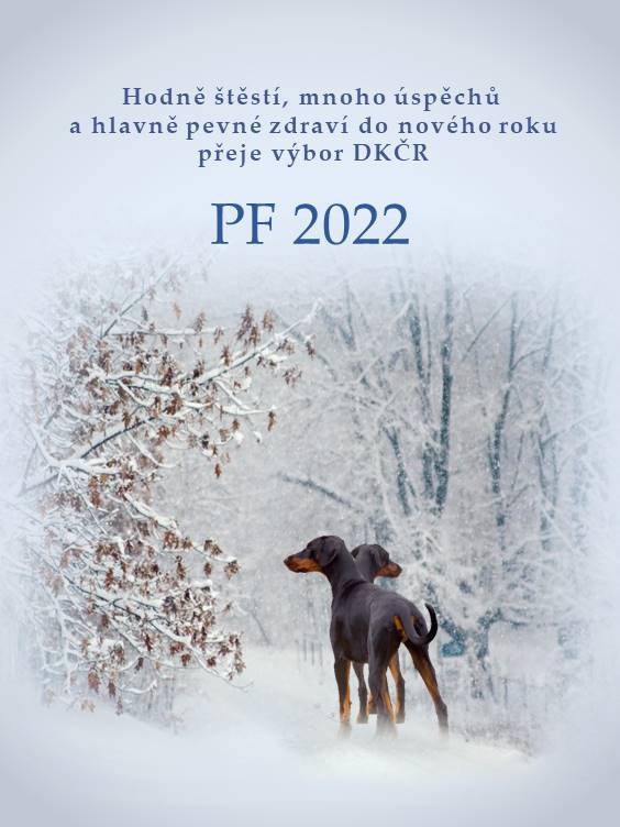 Přečtete si více ze článku PF 2022