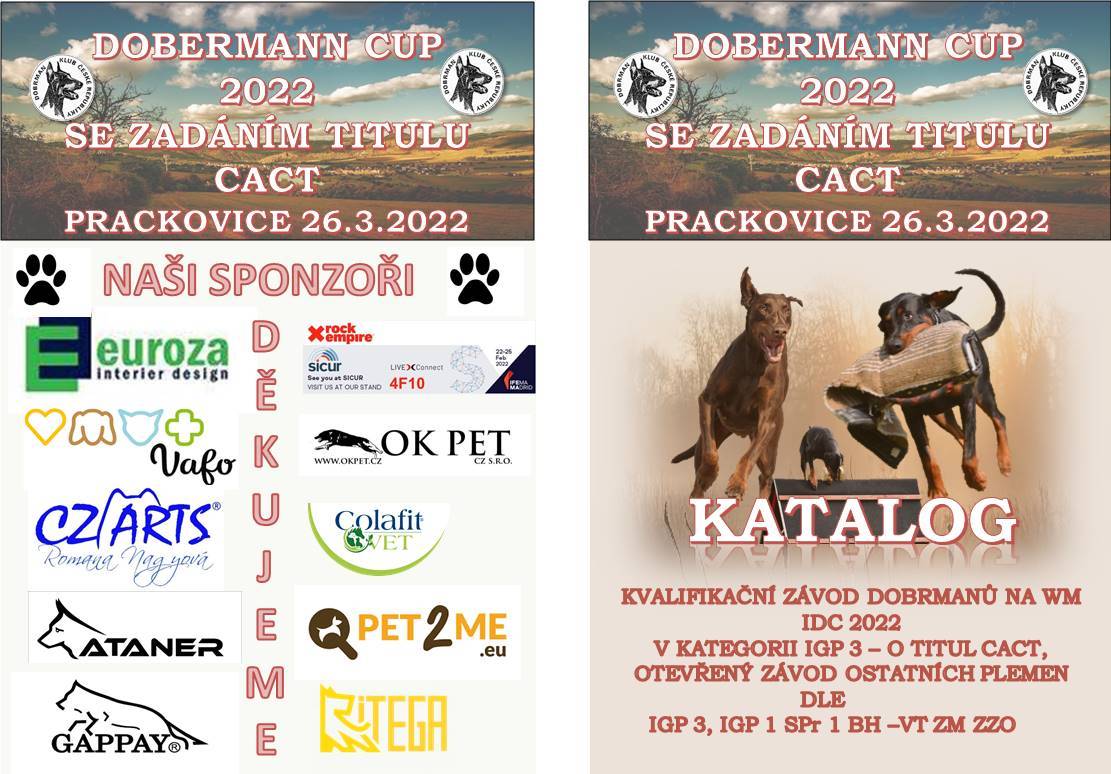 Přečtete si více ze článku Dobermann CUP 2022