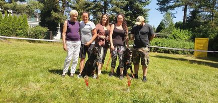 Přečtete si více ze článku Svod a bonitace dobrmanů 18.06.2022 ZKO Klánovice