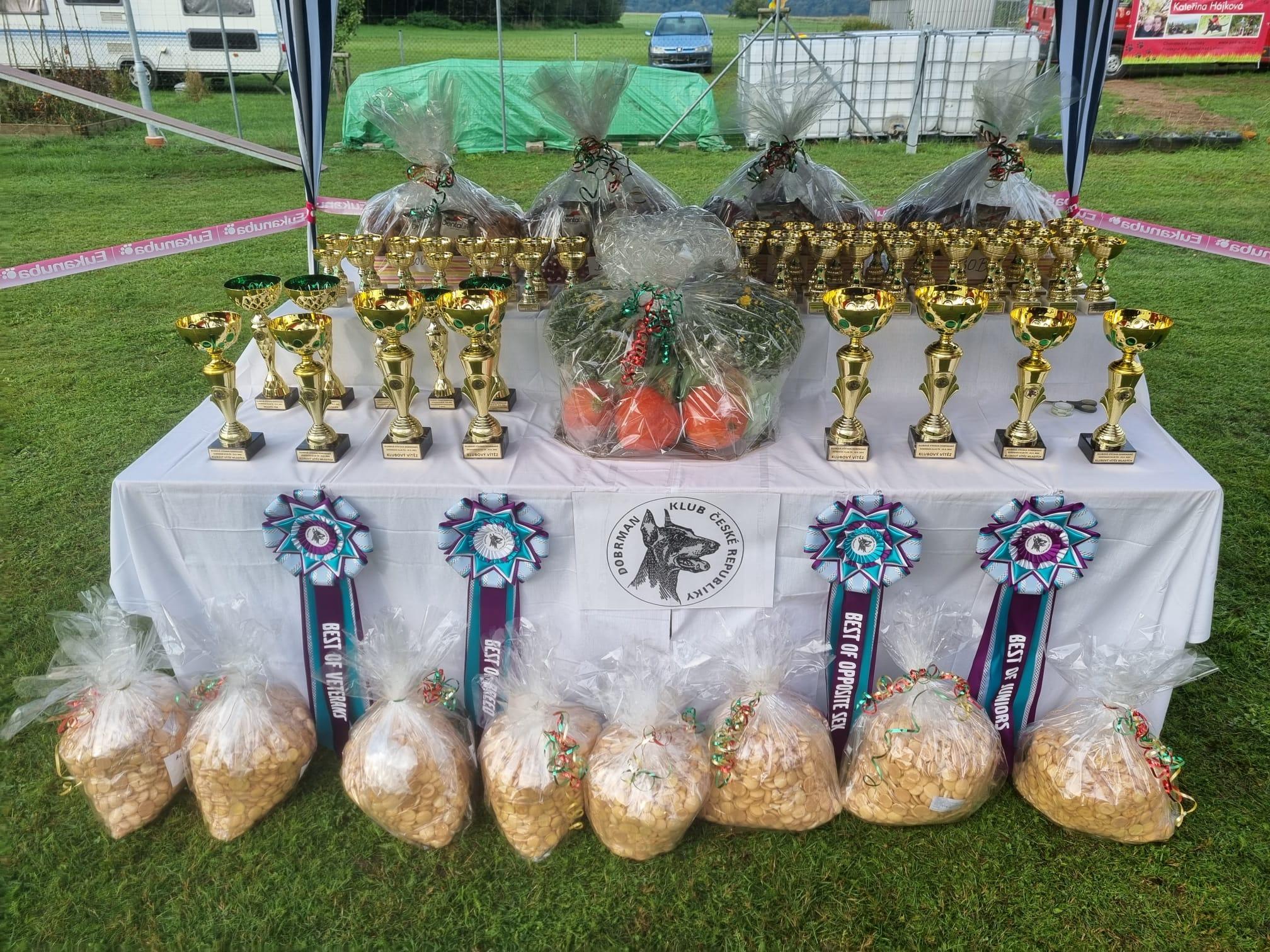 Přečtete si více ze článku Výsledková listina – Klubová výstava 25.09.2022 ZKO Kozly – Tišice