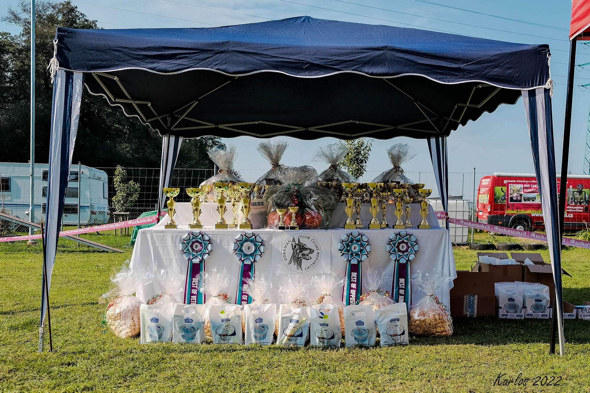 Přečtete si více ze článku Fotogalerie – Klubová výstava 25.09:2022- Kozly-Tišice