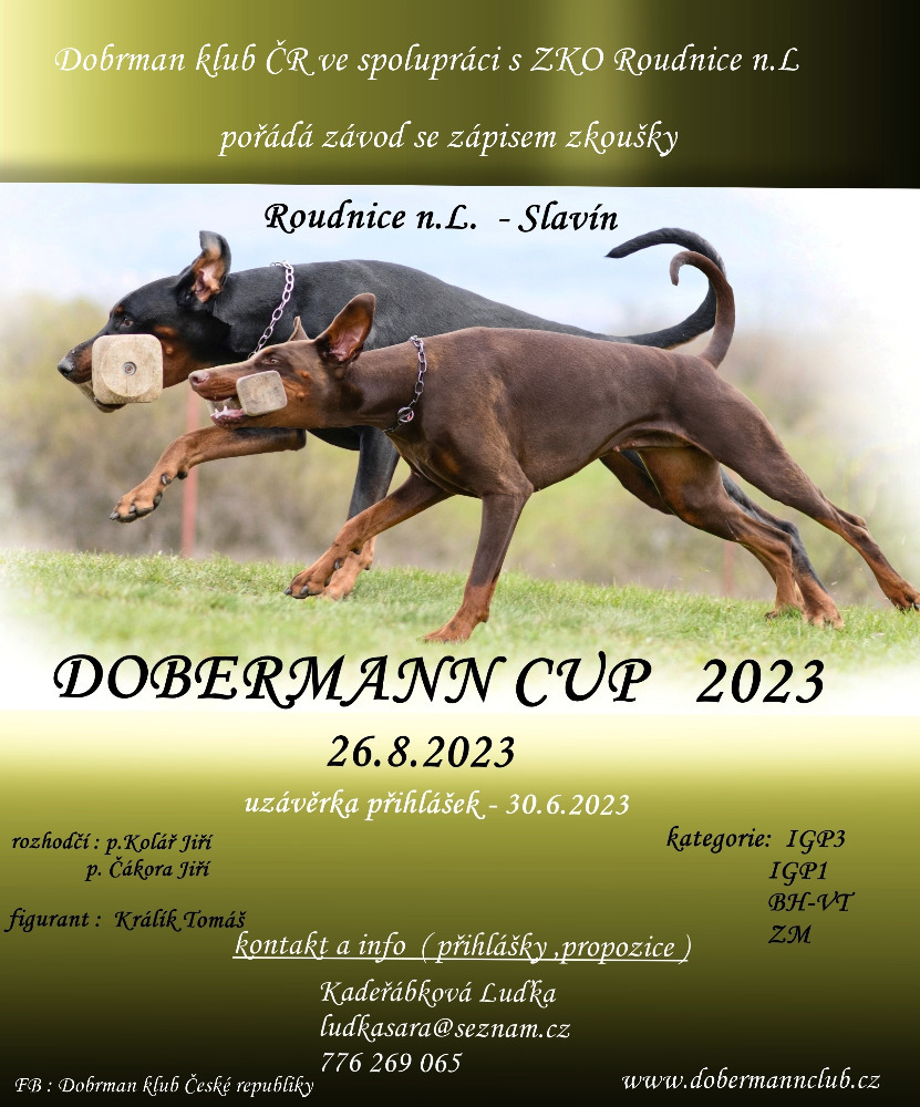 Přečtete si více ze článku Dobermann CUP 2023 –  26.08.2023 (prodloužení uzávěrky do 30.07.2023)