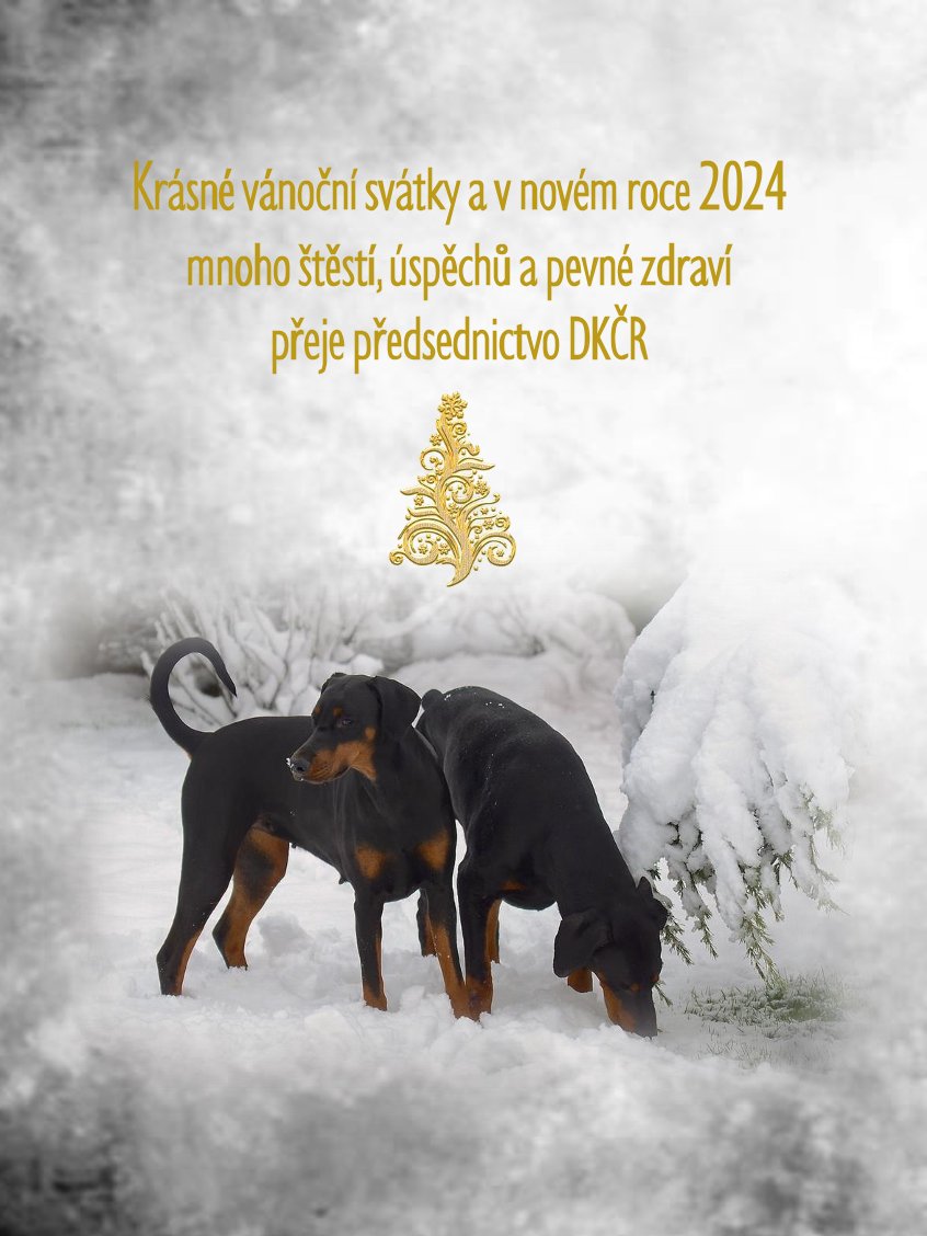 Přečtete si více ze článku PF 2024