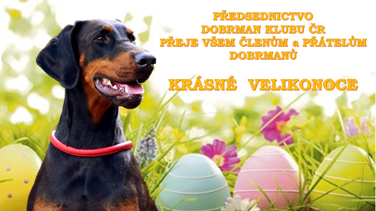 Přečtete si více ze článku Přání k velikonocům 2024